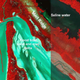 Google Earth image of Cape Sable with historic shoreline position overlain, via Erik Stabenau